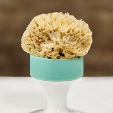 Load image into Gallery viewer, Eucalyptus Spearmint Artisan Aloe Vera Soap & Sponge
