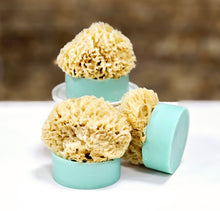 Load image into Gallery viewer, Eucalyptus Spearmint Artisan Aloe Vera Soap & Sponge