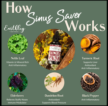 Load image into Gallery viewer, Information on Earthley's Sinus Saver nettle, turmeric, elderberry, dandelion black pepper.