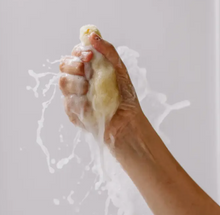 Load image into Gallery viewer, Baby Natural Sea Sponge