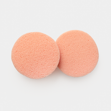 Load image into Gallery viewer, Gal Pal Garment Deodorant Remover Sponges - Two Pack

