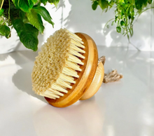 Load image into Gallery viewer, Natural bristle body brush on a white background with hanging greenery
