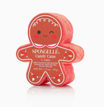 Load image into Gallery viewer, Gingerbread Holiday Buffer - Spongelle
