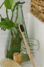 Load image into Gallery viewer, Bamboo toothbrush with charcoal bristles with a green bottle and green vine in the background
