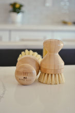 Load image into Gallery viewer, A set of natural bristle hand brushes with wooden handles, displayed on a kitchen countertop.
