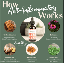 Load image into Gallery viewer, Anti Inflammatory - For Inflammation
