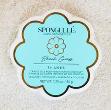 Load image into Gallery viewer, Spongellé Beach Grass body wash buffer on a textured beige background
